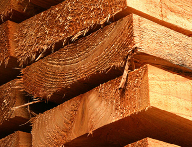 Schnittholz und Kantholz zum Bauen